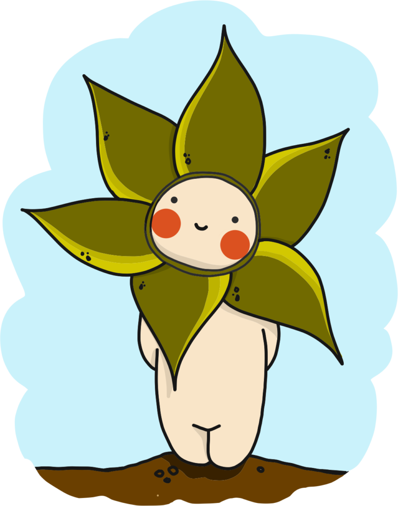 VERA, PEQUEÑA ALOE