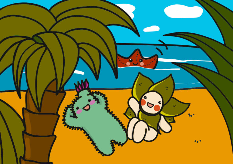 Vera y Catù